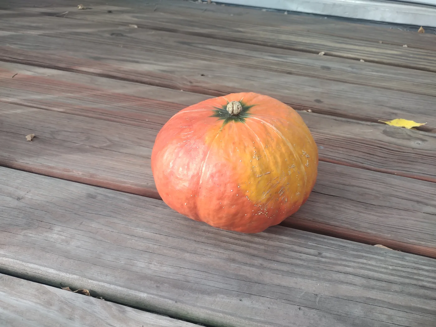 Abóbora Cabocha