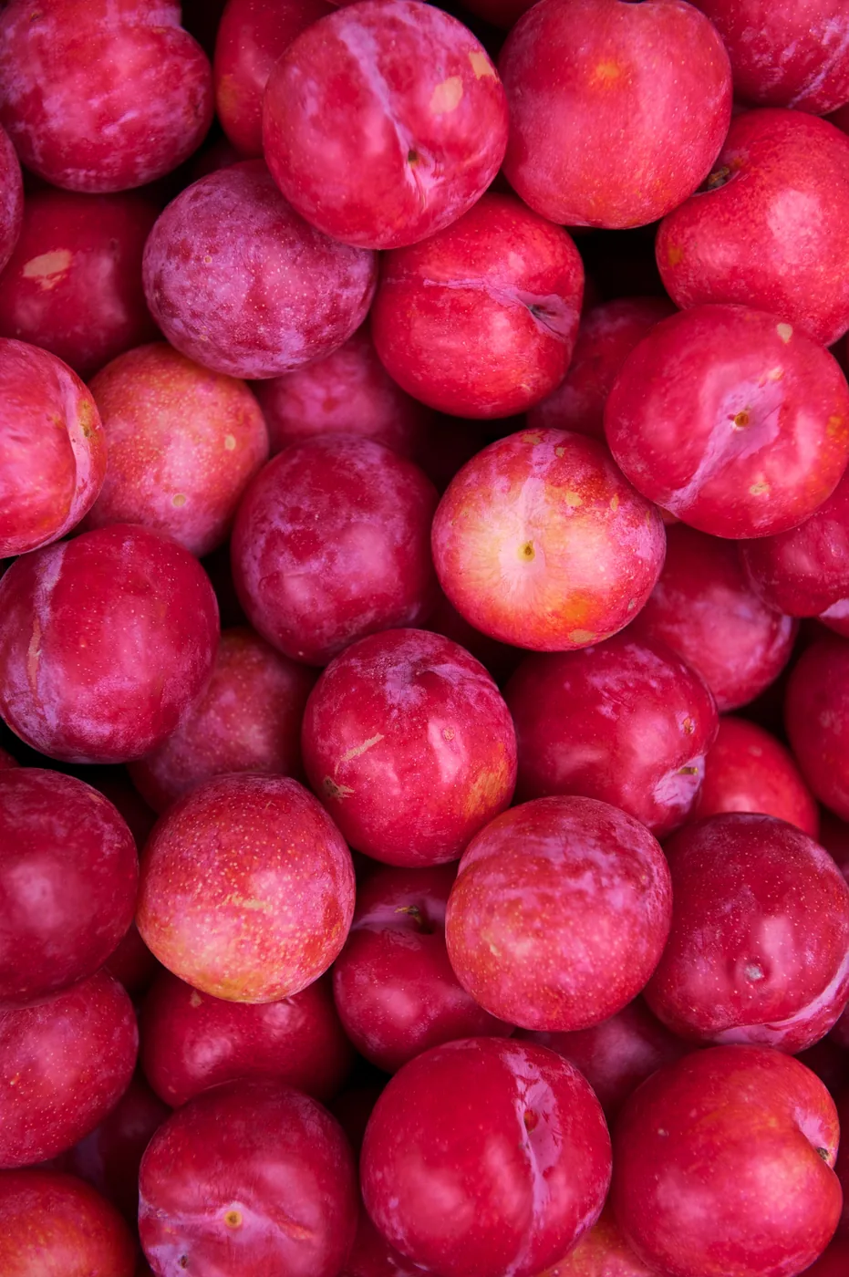 Ameixas vermelhas frescas