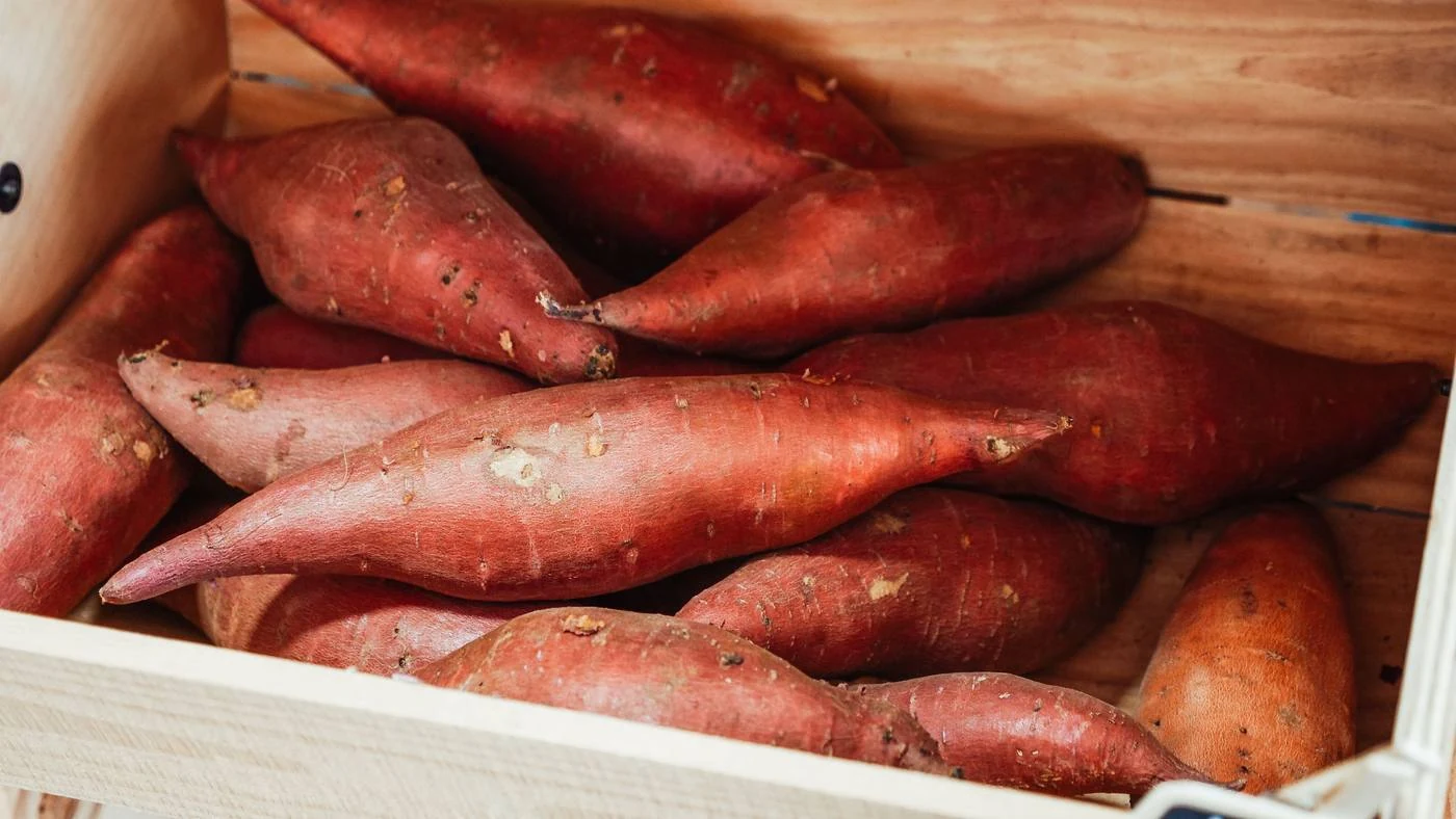 Batata Doce Cor Laranja