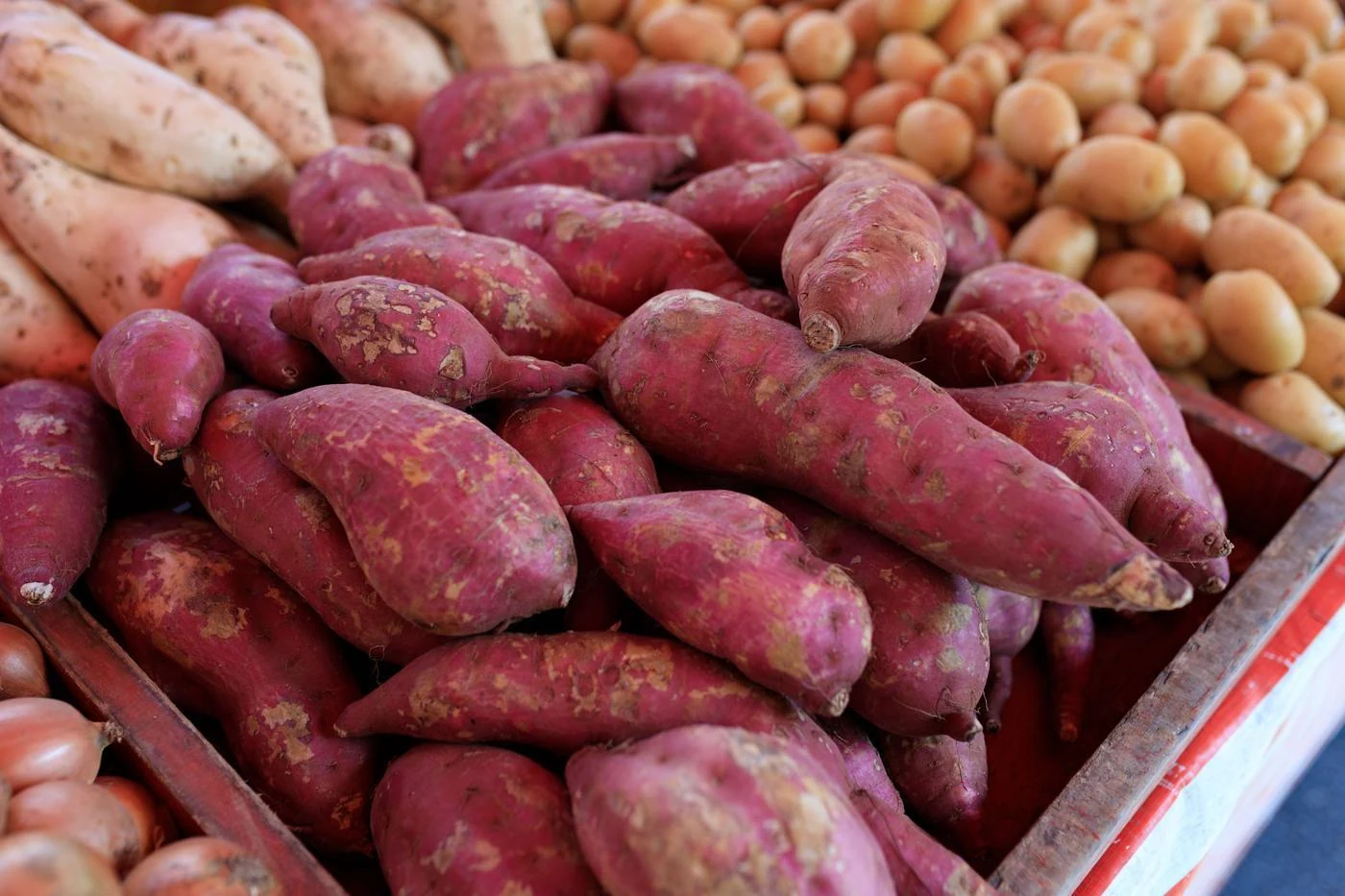Batata Doce