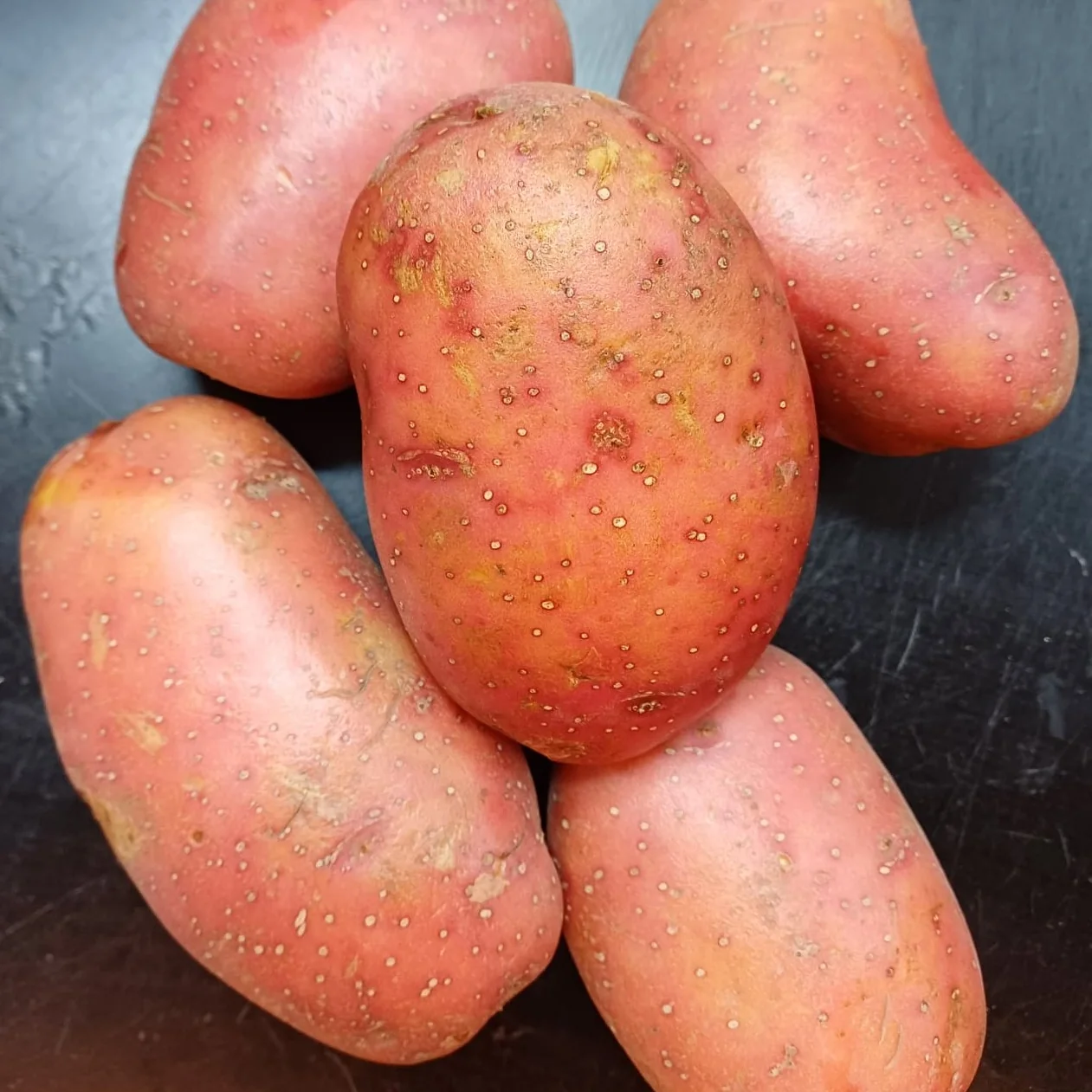 Batata Vermelha