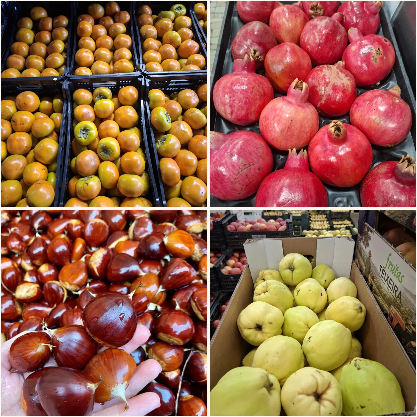 Fruta de outono na loja: dióspiros, romãs, castanhas e marmelos