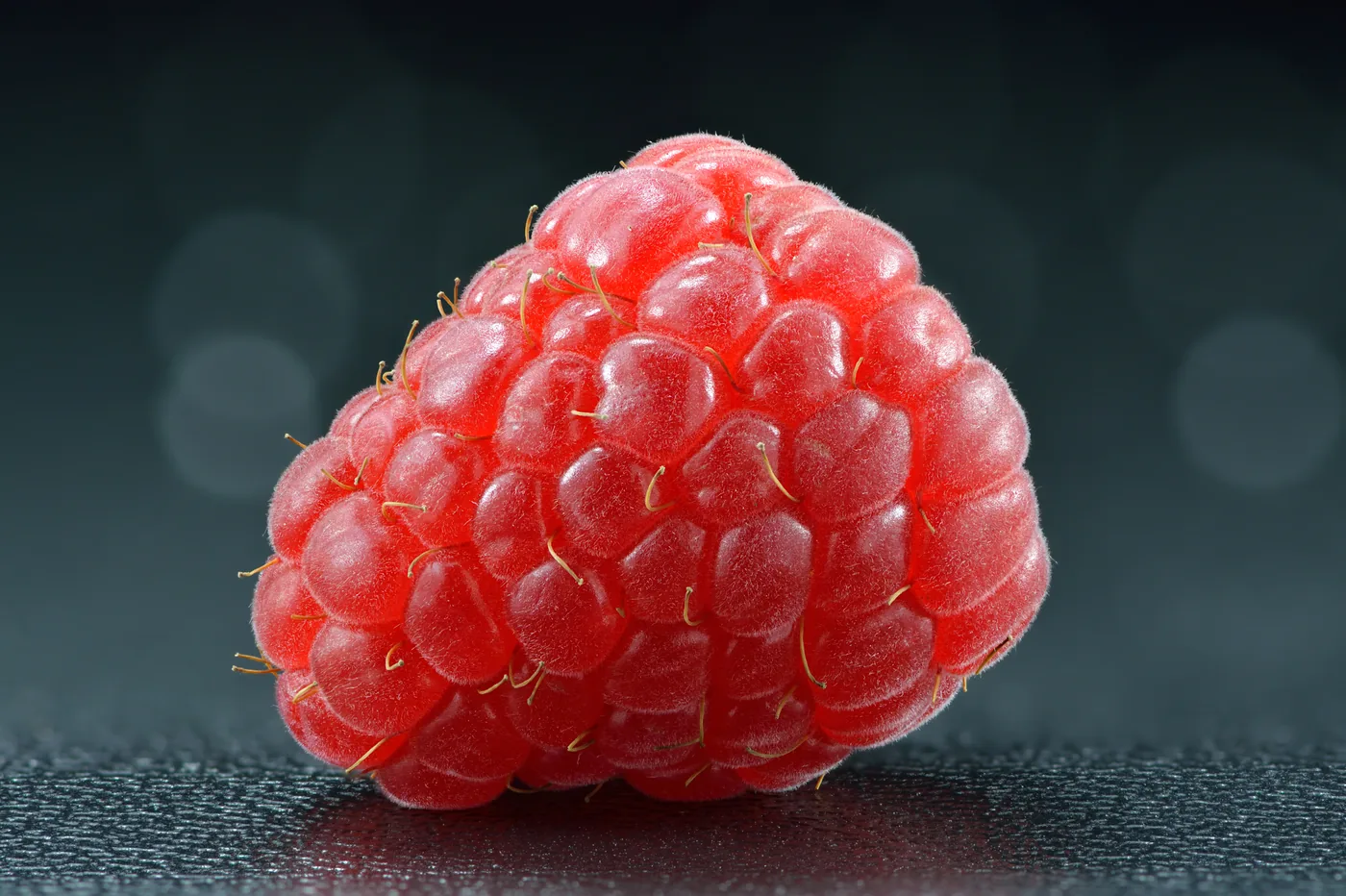 Framboesa isolada