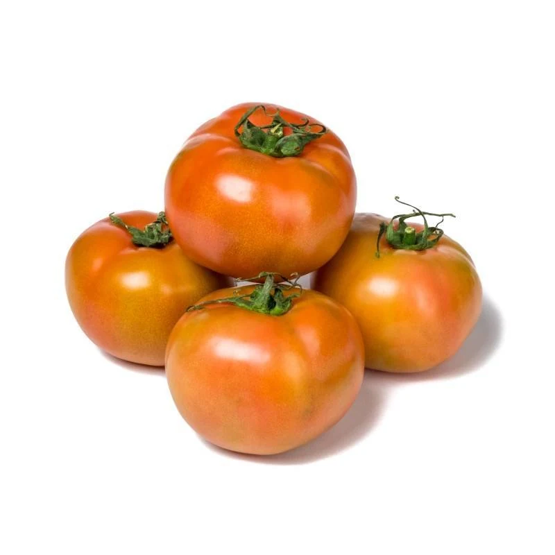 Tomate Salada