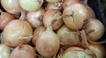 Cebola nacional