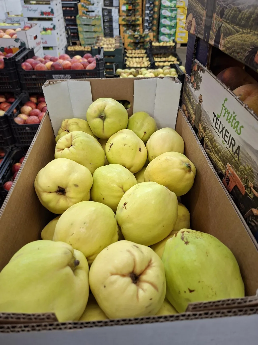 Marmelos